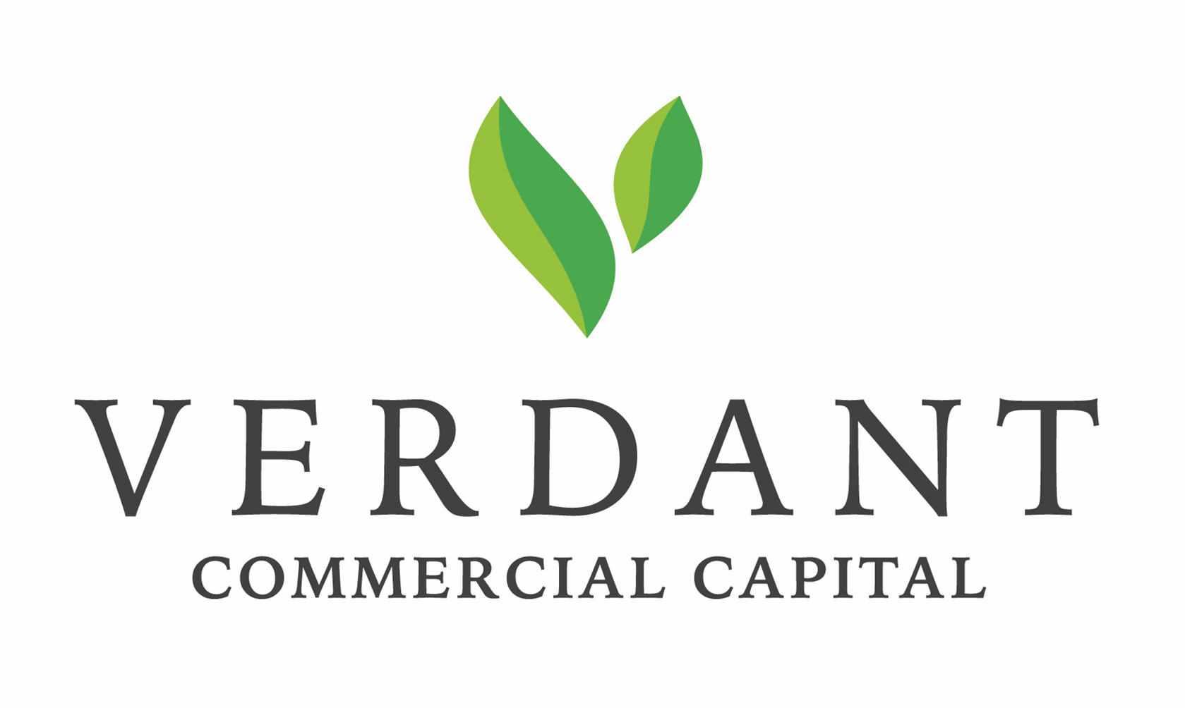 logo with 2 green leaves and Verdant Commercial Capital in black font